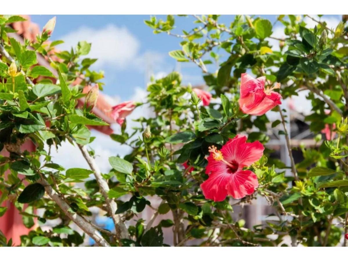 Hotel Pescatore Okinawa - Vacation Stay 20882V Naha Exterior photo