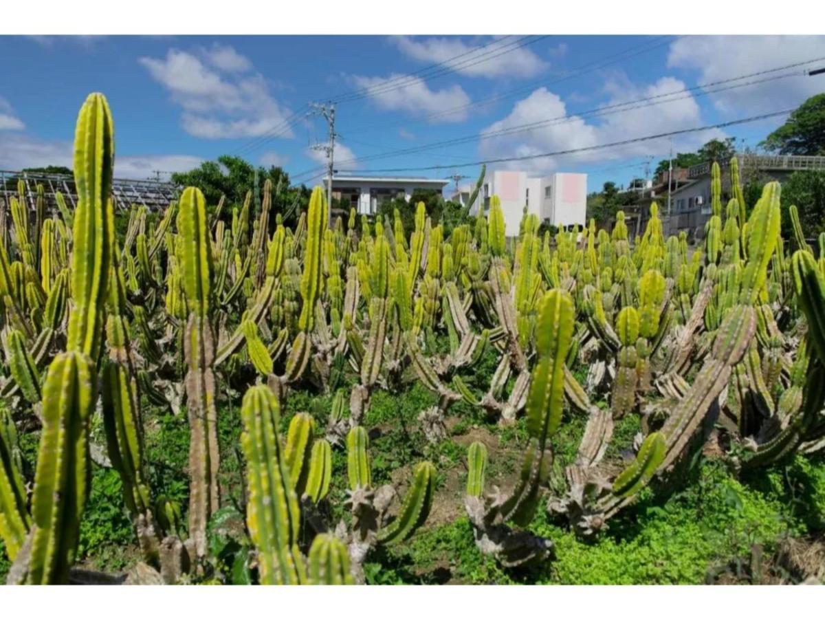 Hotel Pescatore Okinawa - Vacation Stay 20882V Naha Exterior photo